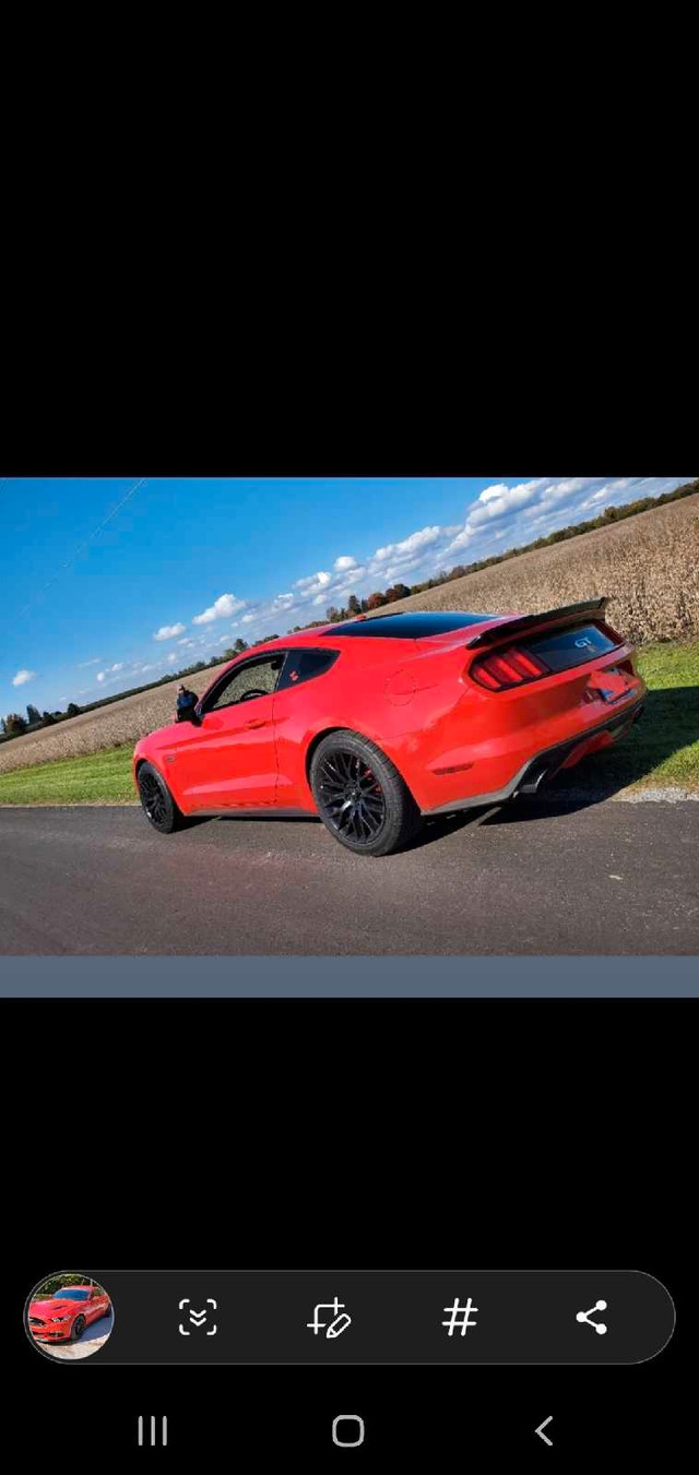 2016  Mustang Gt   PP1 in Cars & Trucks in City of Toronto - Image 4