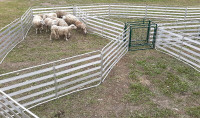 LAKELAND 8FT ALUMINUM EASY PANELS for sheep/goats/small animals!