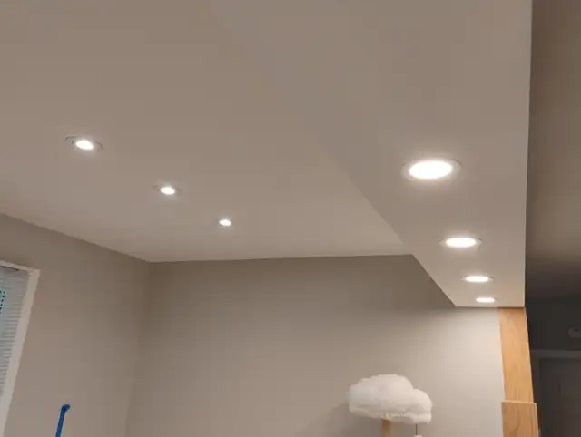Licensed Electrician Electrical Services Ottawa area FLAT RATE$414906039382190082