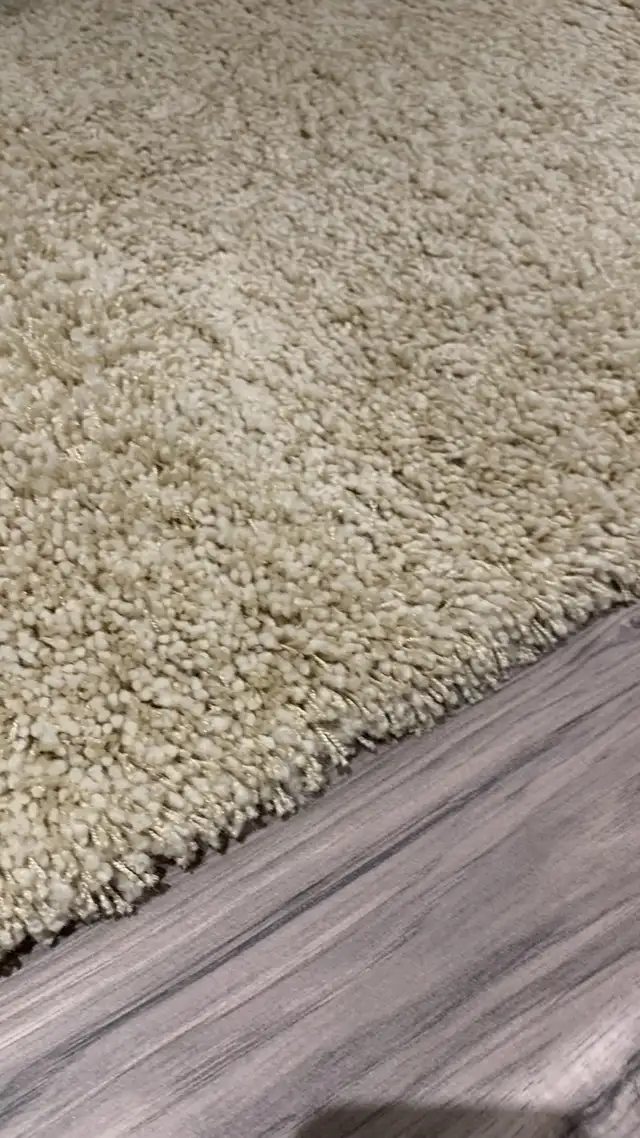 area rug in Rugs, Carpets & Runners in Ottawa - Image 2