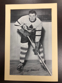  Beehive Hockey Toronto  Gaye Stewart