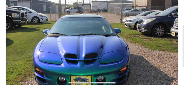 1999 Pontiac Trans Am WS6 in Classic Cars in Brandon - Image 3