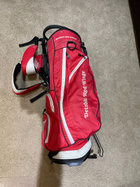 Detroit Redwings Golf Bag