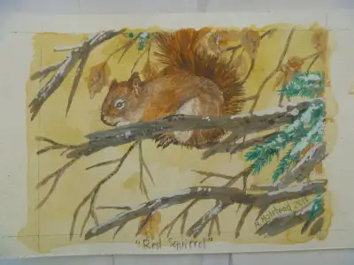 RED SQUIRREL Original Artwork - 4 to choose from, View more