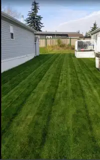Lawn mowing 