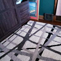 Plush  carpet 8 x 10