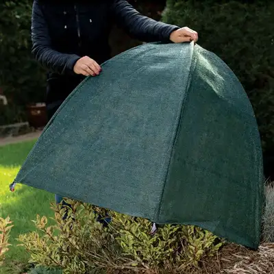 NuVue Winter Shrub/Plant Protection Covers, View more