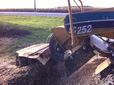 Call for your Free Estimates, Affordable Stump and Small Tree/Shrub, removal. Fast Friendly Service,...