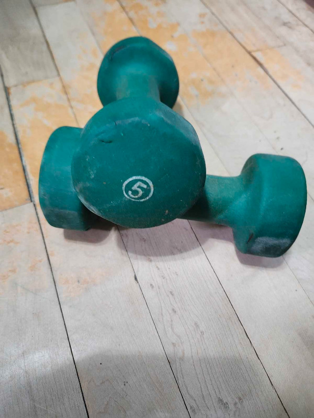 2 dumbbell in Health & Special Needs in La Ronge - Image 2