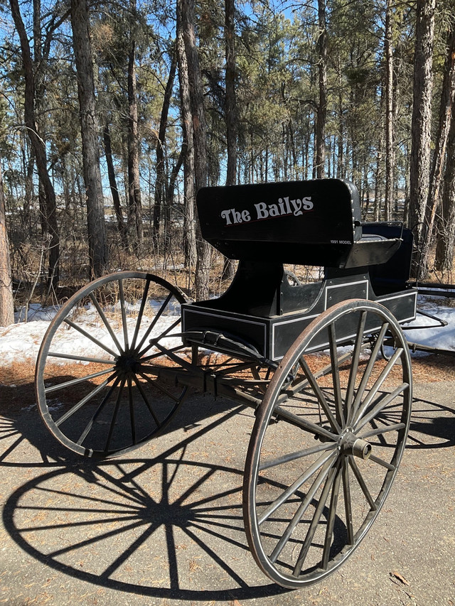 Single light horse buggy for sale in Equestrian & Livestock Accessories in Prince Albert - Image 4