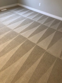 CARPET CLEANING 6136202482
