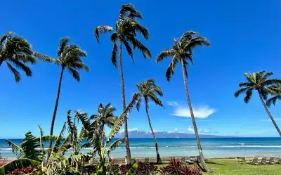 West Maui Oceanfront Suite - spend up to 3 weeks in paradise!, View more