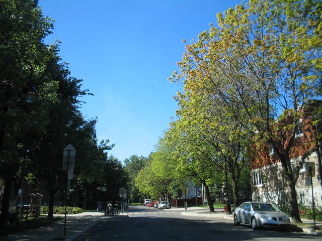 Renovated 4-1/2 Near Metro Lasall for Rent — photo 2