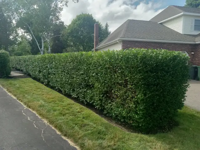 Landscaping&Spring cleanups in Lawn, Tree Maintenance & Eavestrough in Charlottetown - Image 11