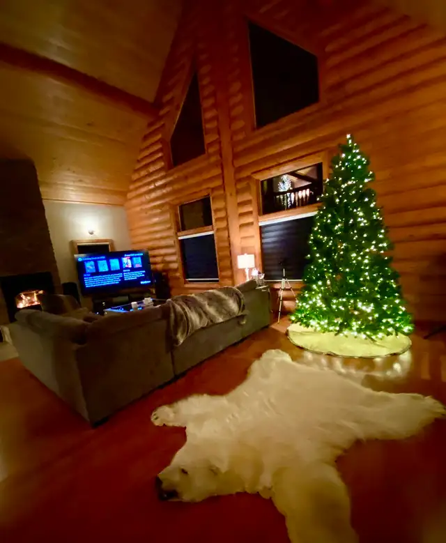 Christmas decor  in Home Décor & Accents in St. Albert - Image 8