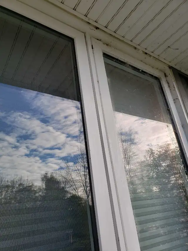 window cleaning489068276000368643