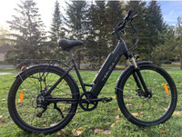 *new battery* 48V electric bike (teslica)  upgraded 36V to 48V