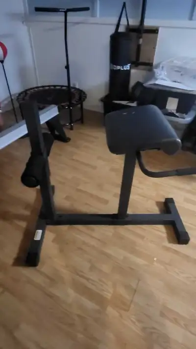 Apex JD 3.1 Back Extension Bench, View more