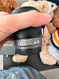 Panasonic Lumix-G interchangeable lens for sale