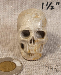 Crâne Skullis 1½" Nipomo coral fossil skull.