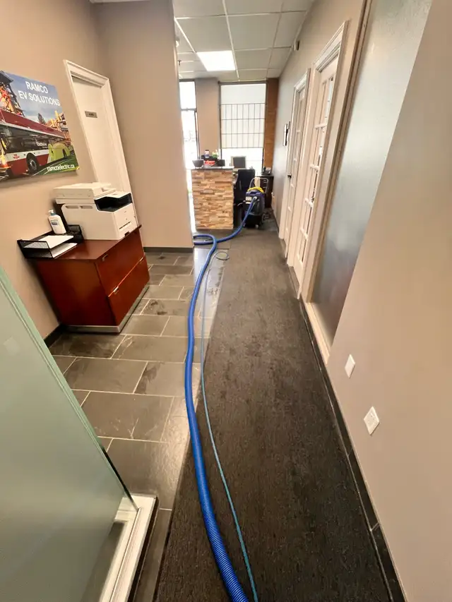 Selling Cleaning & Reno Business – Earn $6K–$8K/Month63234885030145124