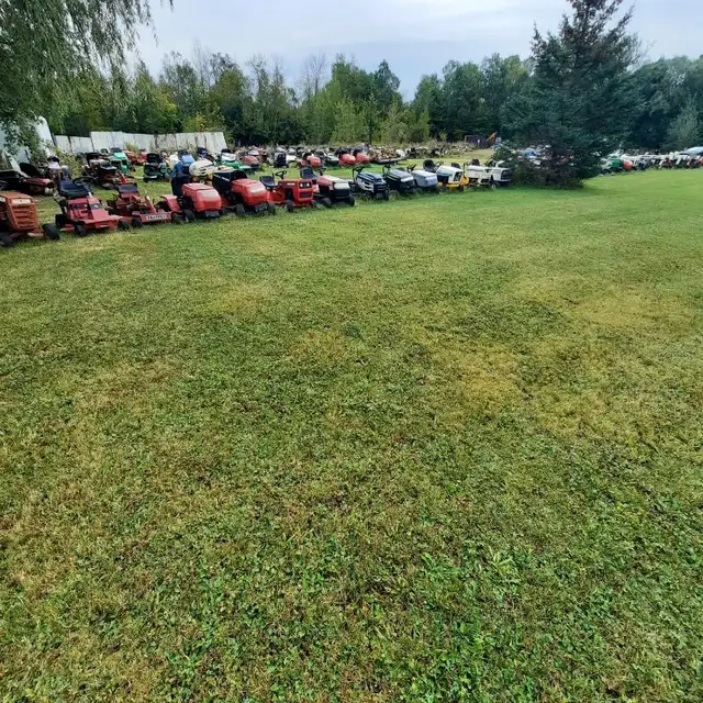 small engine projects in Lawnmowers & Leaf Blowers in Ottawa - Image 2