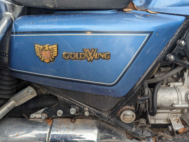 Goldwings in Road in Kamloops - Image 4