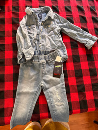 Toddler Jean top and blue jeans - 2 to 3 years $30
