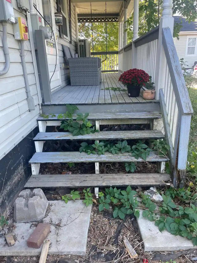 Handyman Services580120482069227525