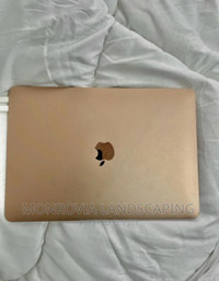 Rose Gold MacBook Air (Retina, 13-inch, 2020)