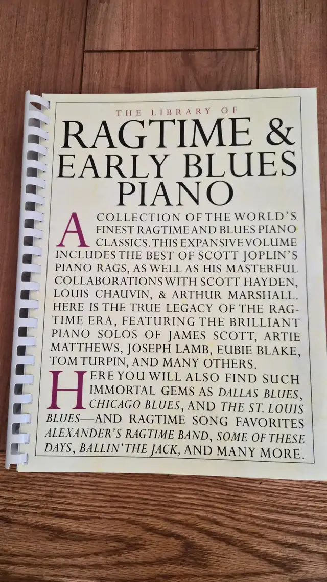Piano Book - Library of Ragtime and Early Blues Piano in Pianos & Keyboards in Longueuil / South Shore - Image 2