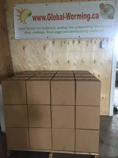 We are a local vermicompost business in DeWinton who focus on red wiggler worms. Our worm castings (...