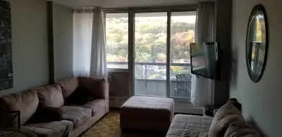 **Plateau Mont-Royal – 3 1/2 à sous-louer** STATIONNEMENT INTÉRIEUR Disponible du 1 er Décembre au 3...