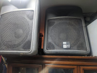 2x peavey pr12