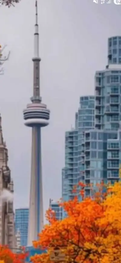 Massage Therapy , View more