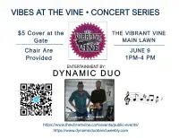 Dynamic Duo Live at The Vibrant Vine