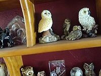 owl collection large variety of owls  if interested calllandline