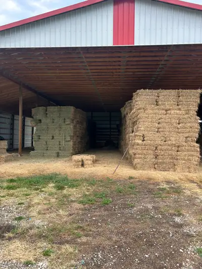 small square hay bales, View more