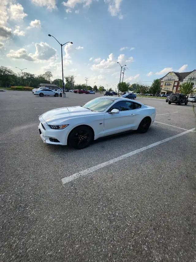 2017 MUSTANG EXCELLENT CONDITION580120386659297282