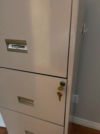 Lockable Metal Filing cabinet with keys included $25
