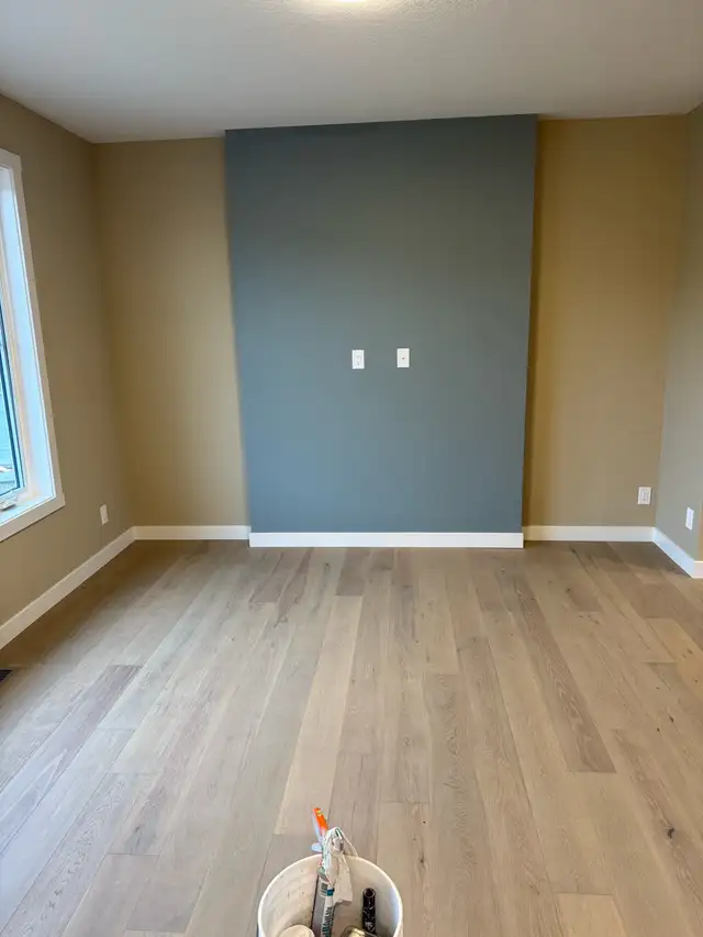 Professional Painter505382055162030082