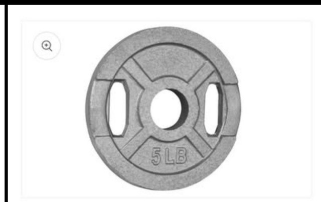 cast iron weight plates ( read description) in Exercise Equipment in Ottawa - Image 2