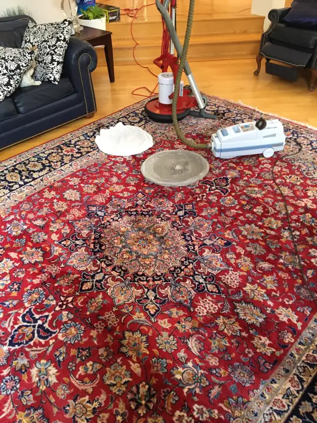 carpet cleaning 414910984948951041