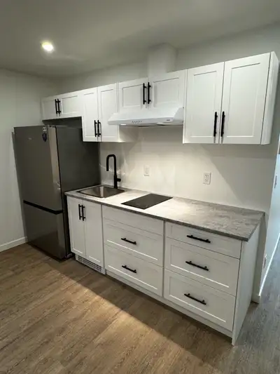 1 bedroom, 1 bathroom brand new basement suite available to rent in Sicamous, B.C. Close to downtown...