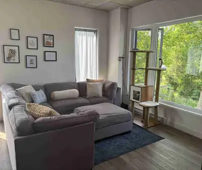 Spacieux 4 1/2 à louer – Tout inclus, animaux bienvenus !