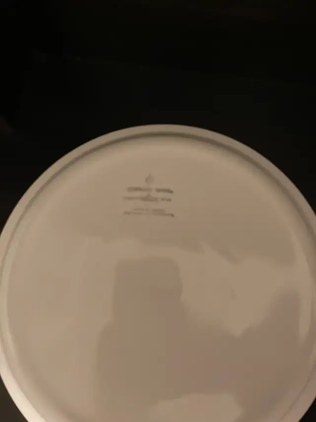 P-309	Vintage Corning Ware 9” Pie Plate with the Coneflower in Kitchen & Dining Wares in Mississauga / Peel Region - Image 4