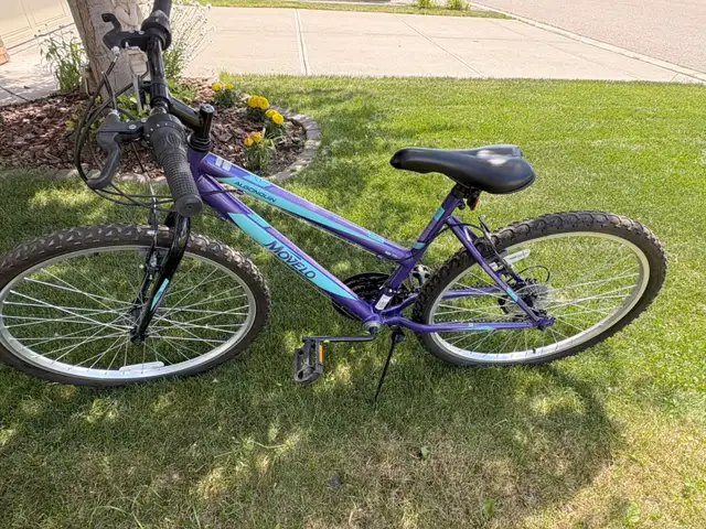 2 Bikes (1 Mountain) for Sale – Lightly Used in Mountain in Calgary - Image 6