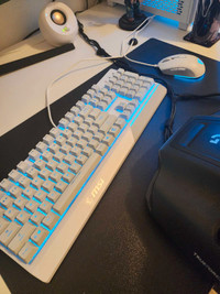 MSI vigor rgb gaming keyboard and mouse combo! 10/10!