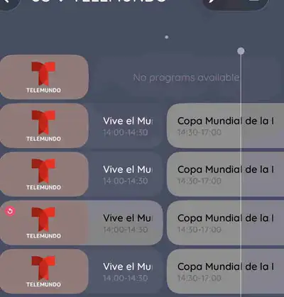 Mundial en español , View more