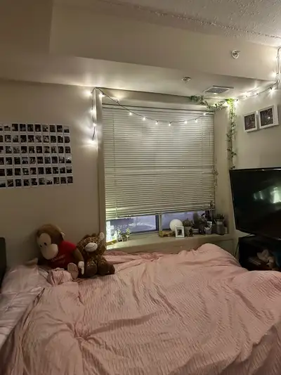 ‼️‼️REDUCED RENT PRICE‼️‼️ Private room for rent Spruce St, Waterloo, ON N2L, Canada - one room avai...
